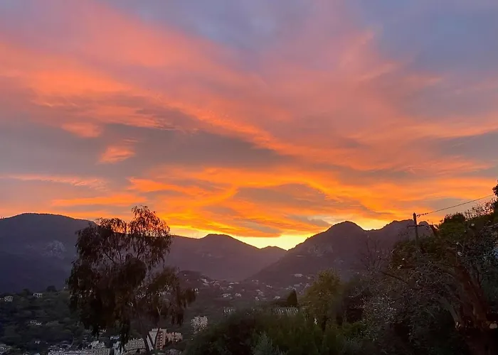 Detente Cote D'azur, Piscine Et Privatifs * Mentone